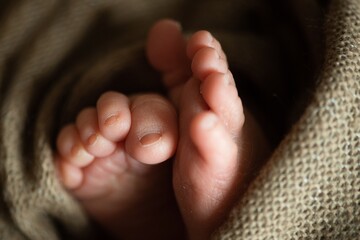 detalhes