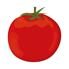 tomato vegetable icon