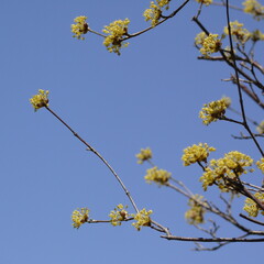 空に向けて今日も元気
