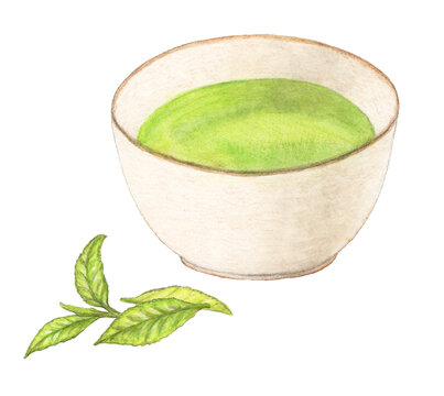 緑茶とお茶の葉　手描き