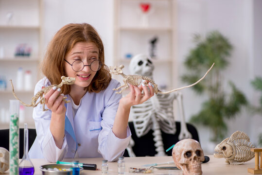 Young female zoologist working at the lab