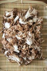 ざるに山盛り載せた、ほぐした小ぶりの舞茸