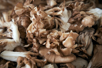 クローズアップした、ほぐした小ぶりの舞茸