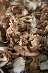 クローズアップした、ほぐした小ぶりの舞茸