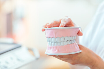 歯科衛生士と歯型模型
