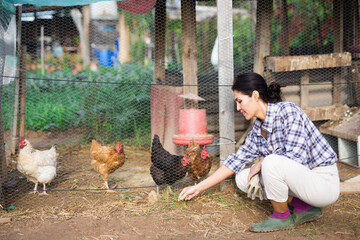 Kazakh woman farmer in checked shirt feeding chickens at farm © JackF