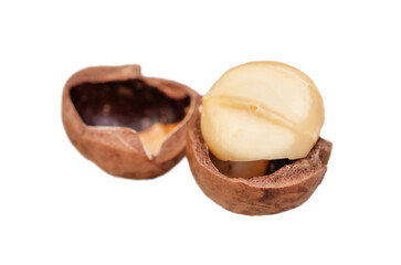 Macadamia nut split isolated