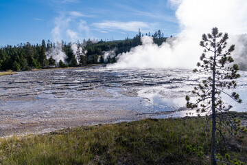 Oblong Geyser in Yellowstone National Park