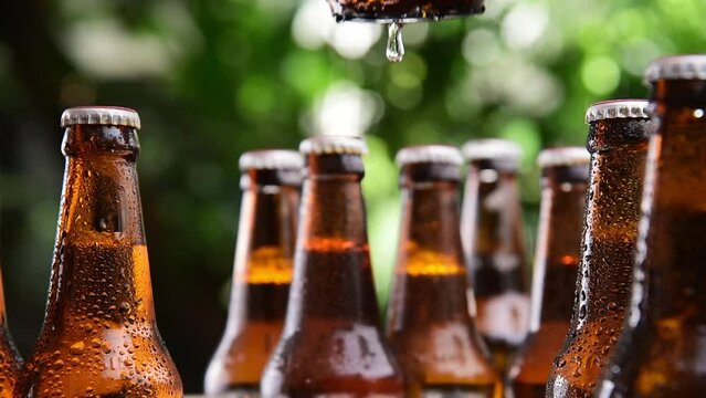 person picking beer bottle  