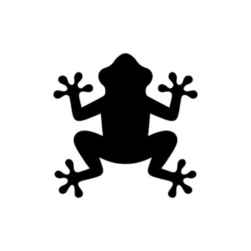 Vector Isolated Frog Icon on White Background