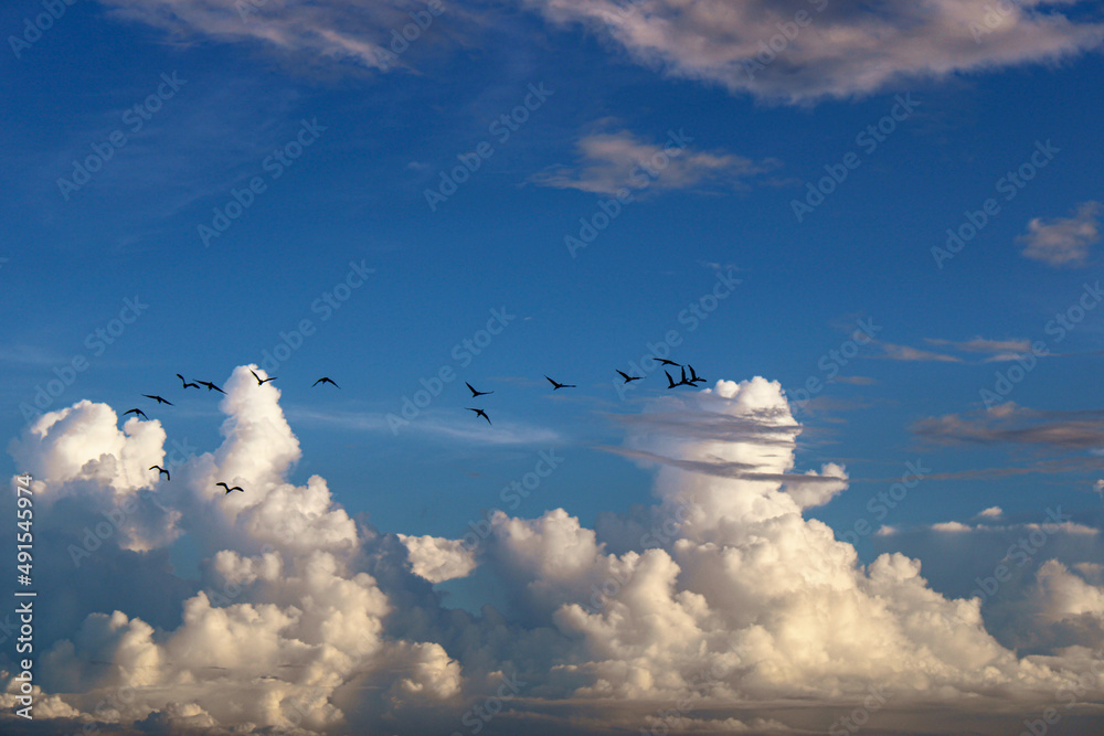 Wall mural clouds in the sky