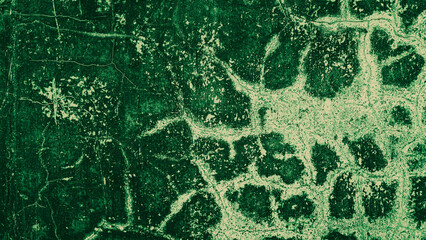 abstract grungy green texture cement concrete wall background