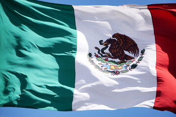 The Flag of Mexico waving in the wind