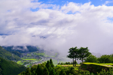 Japanese castle ruins3