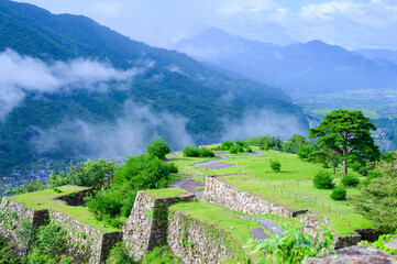 Japanese castle ruins