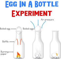 Diagram showing experiment with eggs