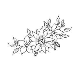 Floral border with peonies flowers and leaves in outline style. Vector line wildflowers. Floral bouquet isolated on white