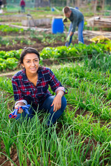 Female farmer harvesting green onions on the field