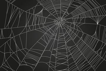 Spider web parts isolated on black background. Scary cobweb outline decor. Vector design elements for Halloween, horror, ghost or monster party, invitation and posters.