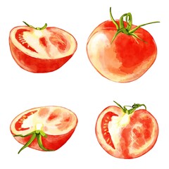手描き水彩のトマトイラストセット