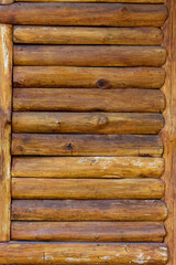 Obraz premium Texture of tree trunks wall for background. Wooden trunks wall surface