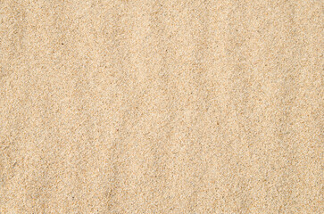 Sand, top view. Texture of sand. Can be used as a background for text.