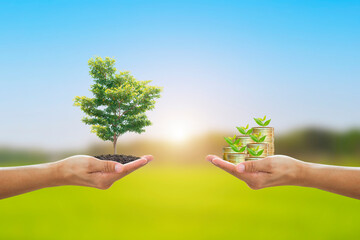 Corporate Social Responsibility (CSR) concept. Businessman and entrepreneurship hand holding big tree and money donate for social development over blurred lawn, big trees and blue sky background.