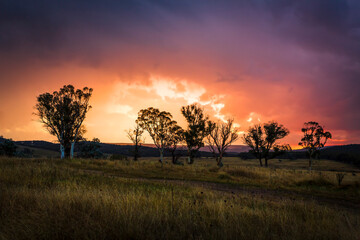 Naklejka na ściany i meble Sunset over Marulan countryside in rural Australia