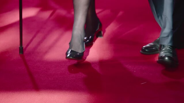 Femal celebrity posing for photos by paparazzi while walking on the red carpet. Two celebrities walking together on the red carpet.