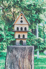 Multi-storey bird house on a tree stump in the park - 491559981