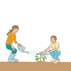 野菜の苗を植える夫婦
