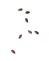 Sesame seeds isolated on white background.