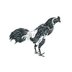 illustratio of rooster, vector art.