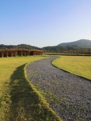 Obraz premium road in the field