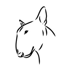 Bull terrier, bull terrier funny face, black and white vector illustration - obrazy, fototapety, plakaty
