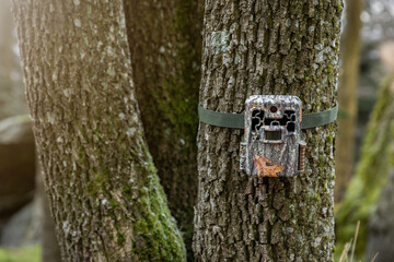 Game camera attached to a tree with strap in forest. Trailcam with infrared led and motion sensor...