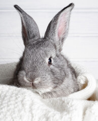 A small gray rabbit is a symbol of the Easter holiday on a light wooden background