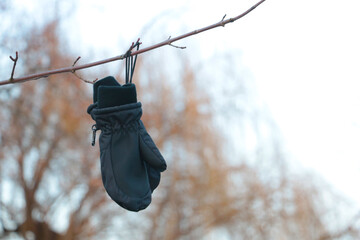 A glove hangs from a tree branch.