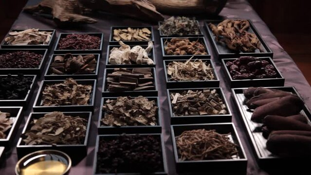 Filming of herbal medicine in Korean traditional style studio