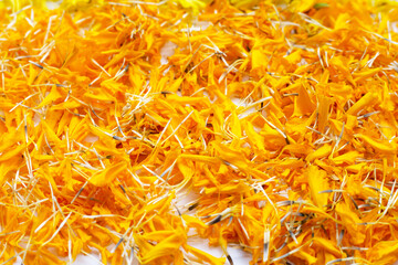 Marigold flower petals on white background.