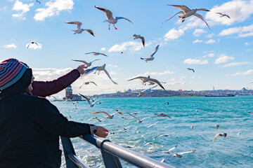 Fototapeta na wymiar Elderly woman feeding seagulls. Blue sky and Istanbul background. The focus is on birds. Copy paste space. Web site banner. 