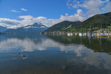 Fototapeta na wymiar Sommer am Zeller See / Österreich