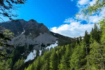 Scenic view on Hahnkogel (Klek) through a dense forest in the Karawanks in Carinthia, Austria. Borders between Austria, Slovenia, Italy. Triglav National Park. Snow capped hills. Woodland, Wanderlust