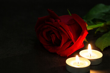 One red rose of roses with candles on a dark background. Dramatic mystical atmosphere of the ritual of black magic. The concept of grief and mourning postcards.