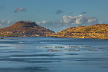 Salmon farming in the fiord , Faroe Islands.