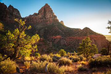 Sunset on the Watchman, Zion National Park, Utah