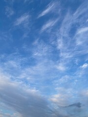 blue sky with clouds, Ueno park Tokyo, March 9th, 2022