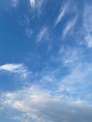 Fototapeta premium blue sky with clouds, ueno Tokyo March 9th, 2022