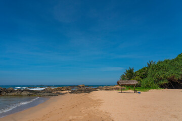 Fototapeta na wymiar The shore of the beach at Bentota with green palm trees, Indian Ocean, Sri Lanka