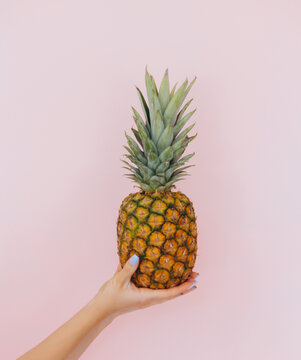 Female hand holding a ripe pineapple on a blue and pink background. Beach Summer Vacation